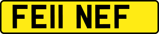 FE11NEF