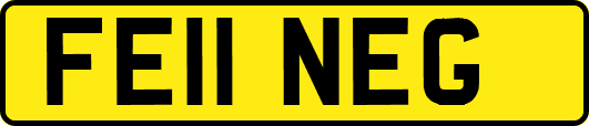 FE11NEG