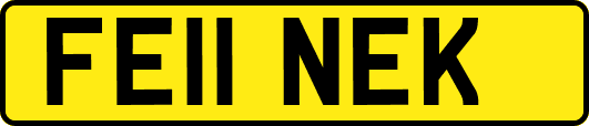 FE11NEK