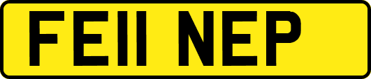 FE11NEP