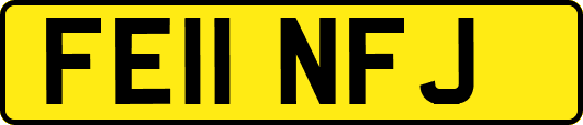 FE11NFJ