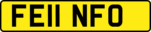 FE11NFO