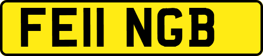 FE11NGB