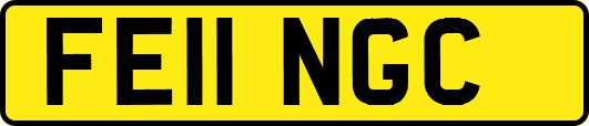 FE11NGC