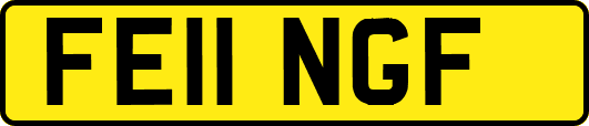 FE11NGF