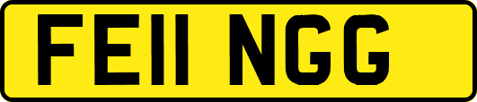 FE11NGG