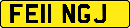 FE11NGJ