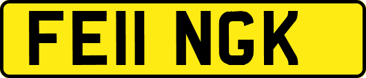 FE11NGK