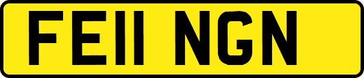 FE11NGN