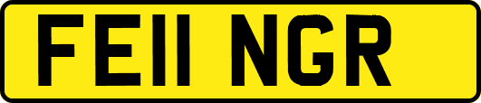 FE11NGR