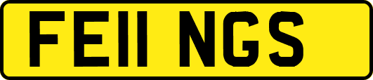 FE11NGS