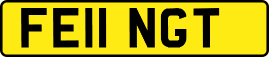 FE11NGT