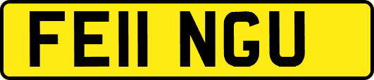 FE11NGU