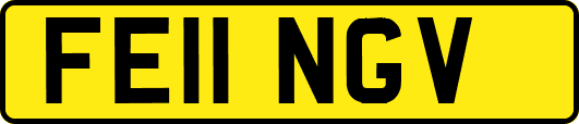 FE11NGV