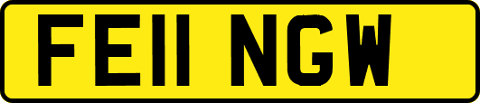 FE11NGW