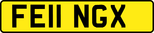FE11NGX