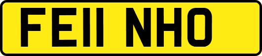 FE11NHO