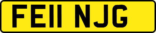 FE11NJG