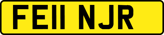 FE11NJR