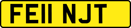 FE11NJT