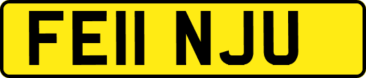 FE11NJU