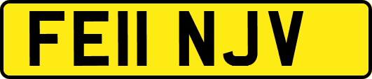 FE11NJV