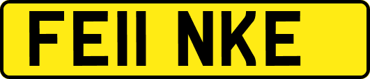 FE11NKE