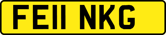 FE11NKG