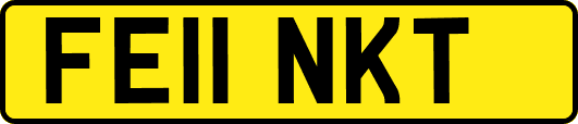 FE11NKT
