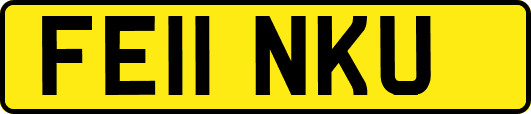 FE11NKU