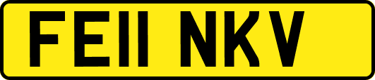 FE11NKV
