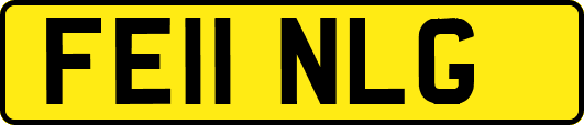 FE11NLG