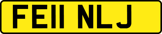 FE11NLJ