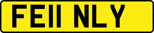 FE11NLY