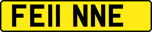 FE11NNE
