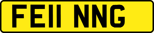 FE11NNG