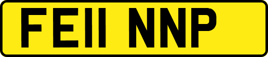 FE11NNP