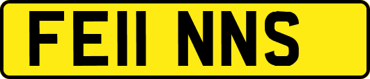 FE11NNS