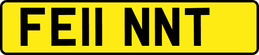 FE11NNT