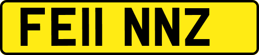 FE11NNZ