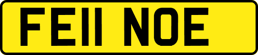 FE11NOE