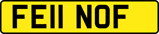 FE11NOF