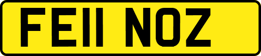 FE11NOZ
