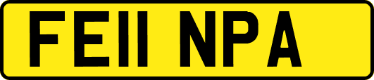 FE11NPA