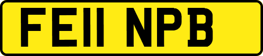 FE11NPB