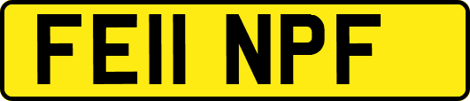 FE11NPF