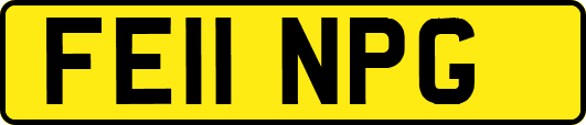 FE11NPG