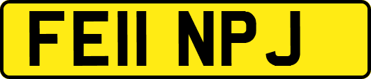 FE11NPJ