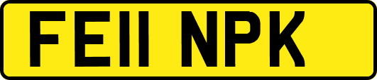 FE11NPK