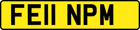 FE11NPM